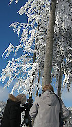 "Winter im Bayerischen Wald" im BR Fernsehen